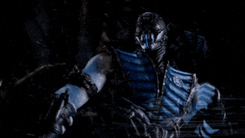 Mortal Kombat Fight GIF