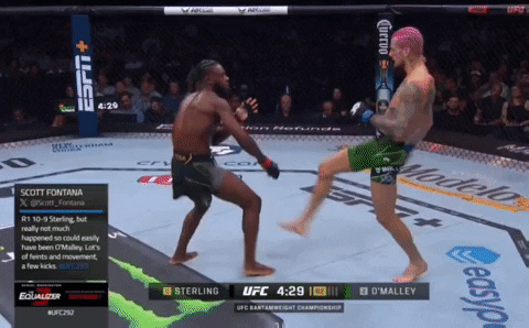 Media - Sean O'Malley TKO Aljamain Sterling GIFS | Sherdog Forums | UFC,  MMA & Boxing Discussion