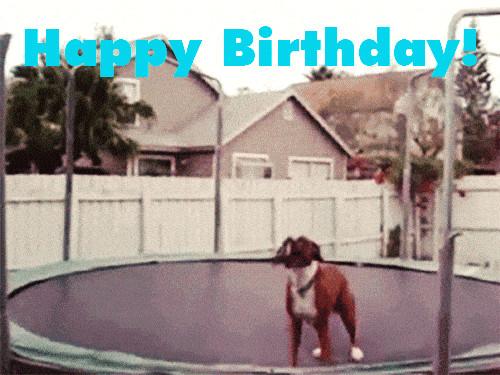 Happy Birthday GIF