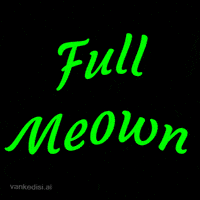 To The Moon Cat GIF by vankedisi