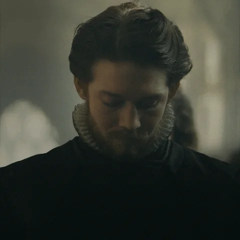 Joe Alwyn Mqos GIF