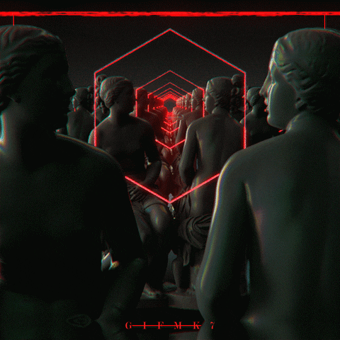 loop mirror GIF by Gifmk7