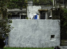 loop gif artist GIF by A. L. Crego