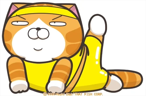 Cat Sport GIF