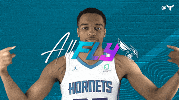 Pj Washington Sport GIF by Charlotte Hornets