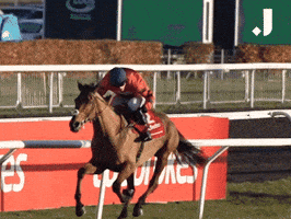 Happy Sport GIF by The Jockey Club
