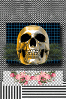 Still Life Skull GIF by kotutohum