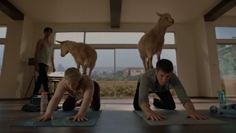 Nathan Fillion Yoga GIF