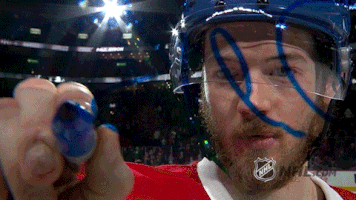 ice hockey GIF by NHL