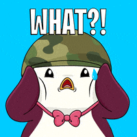 Oh No What GIF by Pudgy Penguins