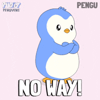 Shocked No Way GIF by Pudgy Penguins