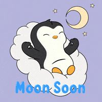 To The Moon Love GIF by Pudgy Penguins
