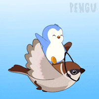 Flying On My Way GIF by Pudgy Penguins
