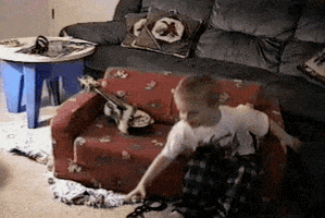 afv GIF by America's Funniest Home Videos