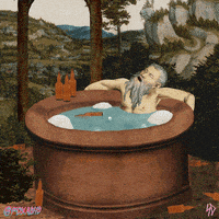 hot tub lol GIF by Animation Domination High-Def