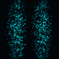 glitch glow GIF by Erica Anderson