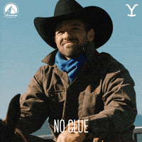 I Dont Know Paramount Network GIF by Yellowstone