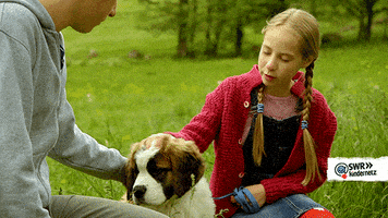 tiere bis unters dach dog GIF by SWR Kindernetz