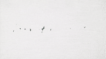 I Love You Valentine GIF by Forest Blakk