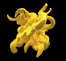 3d sculpture GIF by Miron