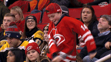 hockey dancing GIF by Carolina Hurricanes