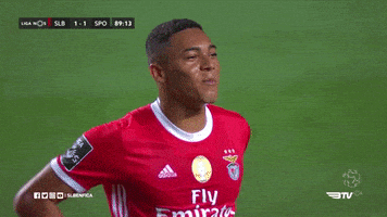 Sl Benfica Smile GIF by Sport Lisboa e Benfica