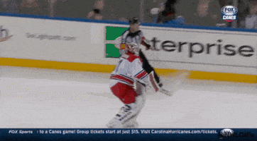Happy Carolina Hurricanes GIF by NHL