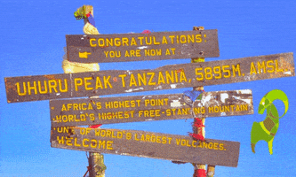 Kilimanjaro GIF by Bookatrekking.com