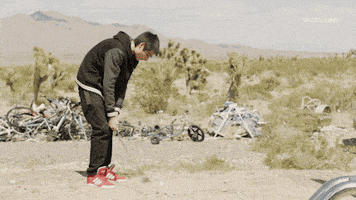 viceland GIF by WEEDIQUETTE