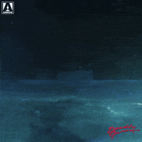 Movie Reaction GIF by Arrow Video