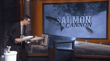 john oliver salmon cannon GIF by Giffffr