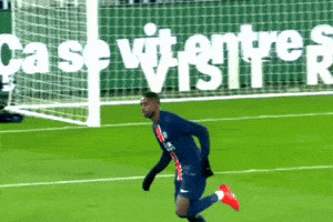 Paris Saint-Germain Psg GIF