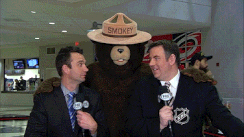 ice hockey GIF by NHL