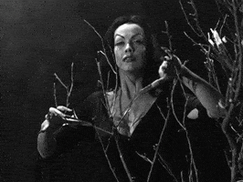 Cult Classic Halloween GIF