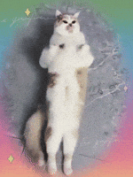 Happy Dance GIF Happy Dance GIF