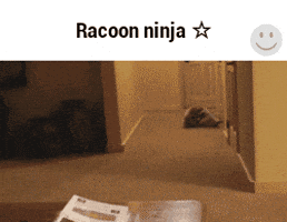 Random GIF