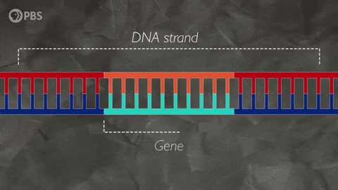 Scientists Rewrite DNA! π§¬β¨