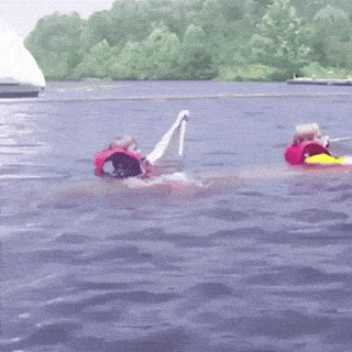 This Is Fine GIF
