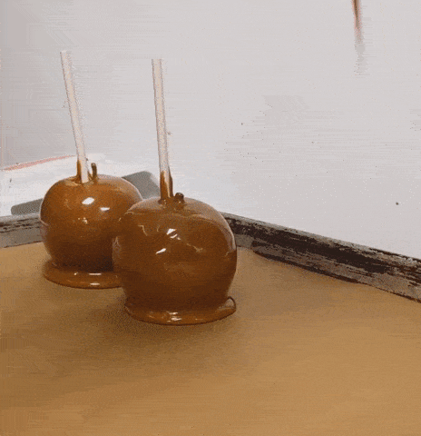 Paint, Sip & Treat at Rocky Mountain Chocolate Factory