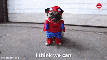 Doug The Pug Dog GIF by BuzzFeed