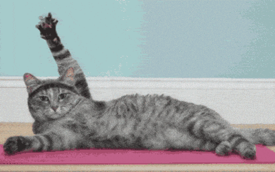 Rooftop Yoga for Beginners at Fizzwerks: Stretch, Sip, Repeat