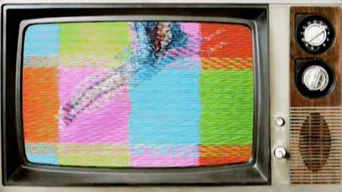 Adventuring through the Canadian Rockies