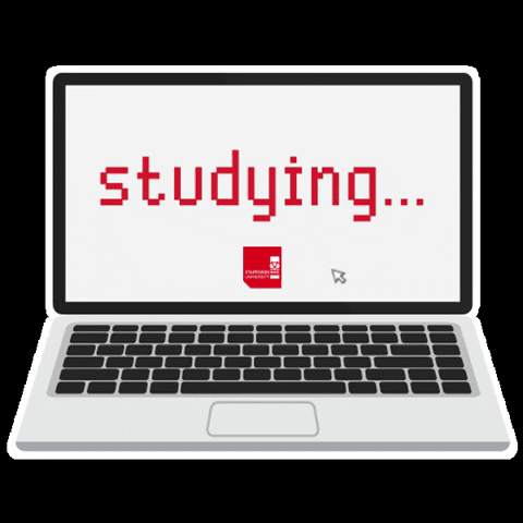 Common App 2025–2026 Guide: How to Fill Out The Common App (Part 2)