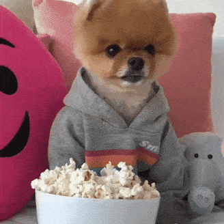 Dog Popcorn GIF by Jiffpom