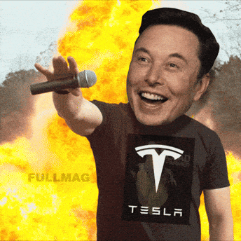 🚘 Tesla falls again