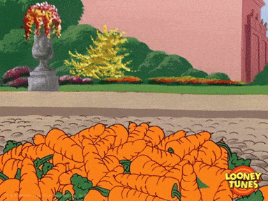 Wake Up What GIF by Looney Tunes