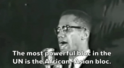 BlackVoter.Org