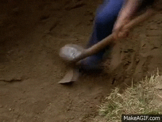 Oregon Brothers Busted for Robbing Graves for Elk Tags 🪦