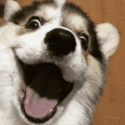 Happy Laugh GIF by Maryanne Chisholm - MCArtist