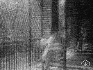 Adventuring through the Canadian Rockies